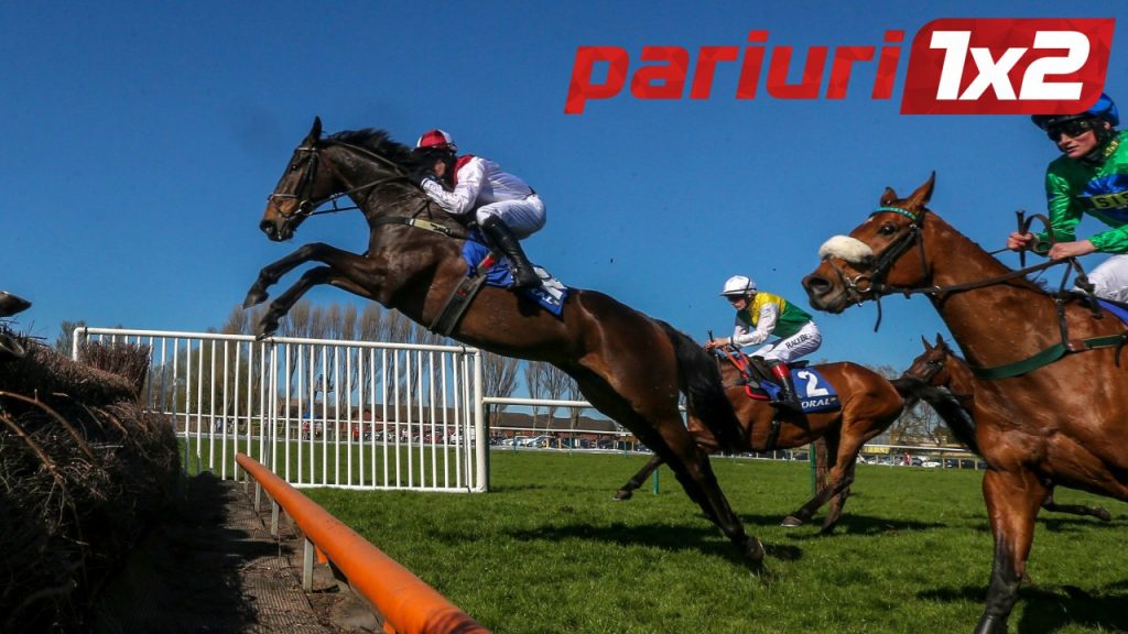 Pariu pe cursa de cai de la Downpatrick, de la ora 15:40 | Cota 3.00 pentru All About Joe, care vine dupa un loc secund promitator