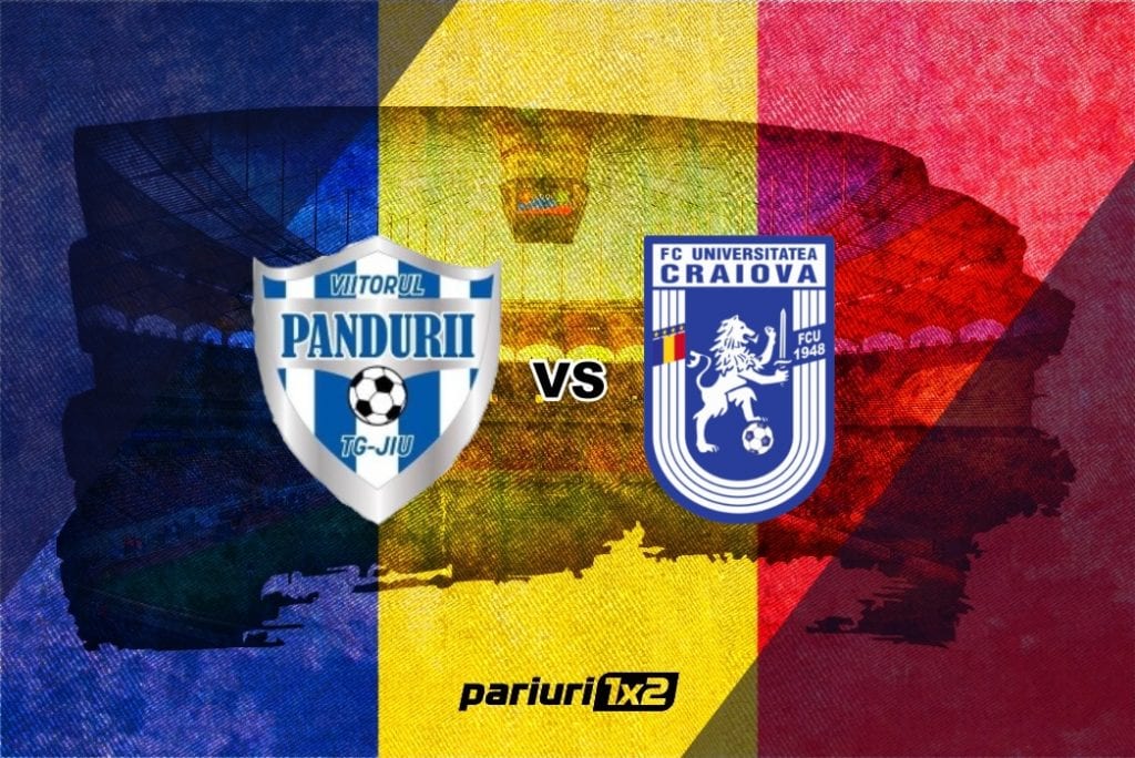 Pariuri fotbal » Viitorul Pandurii Tg. Jiu – FC ”U” Craiova » Război între olteni în Liga a 2-a!
