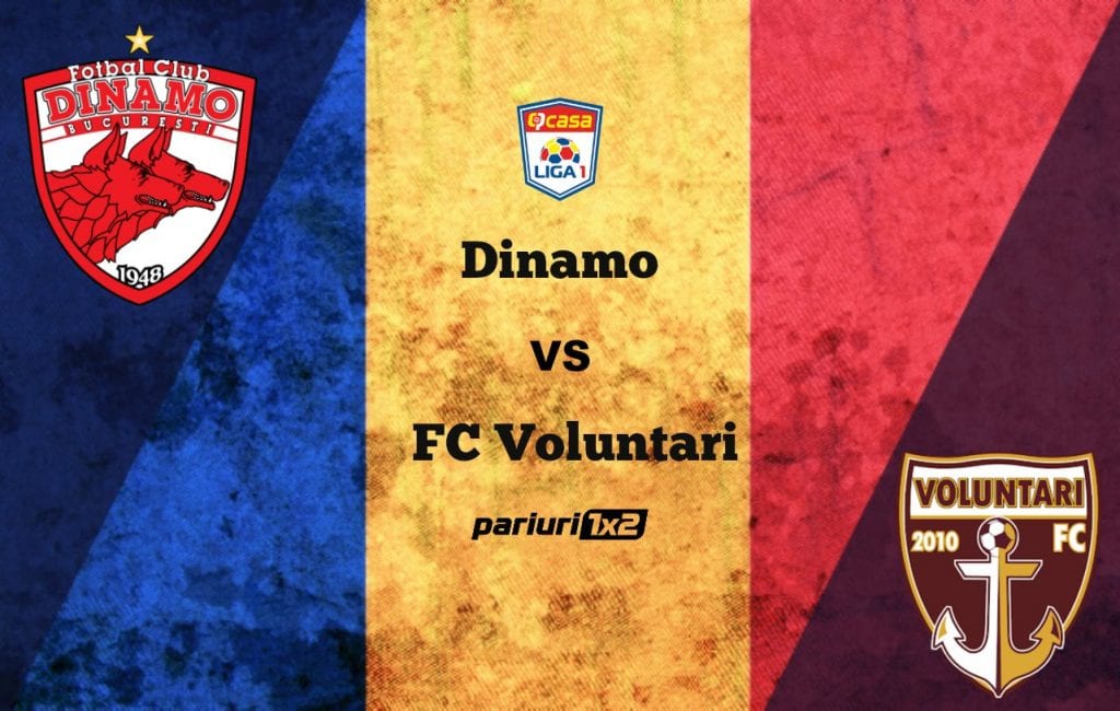 Pariuri fotbal » Dinamo București – FC Voluntari » Ilfovenii lui Teja deciși să adâncească criza „câinilor!”