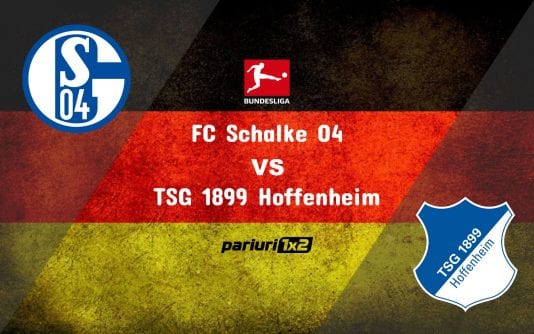 schalke - hoffenheim
