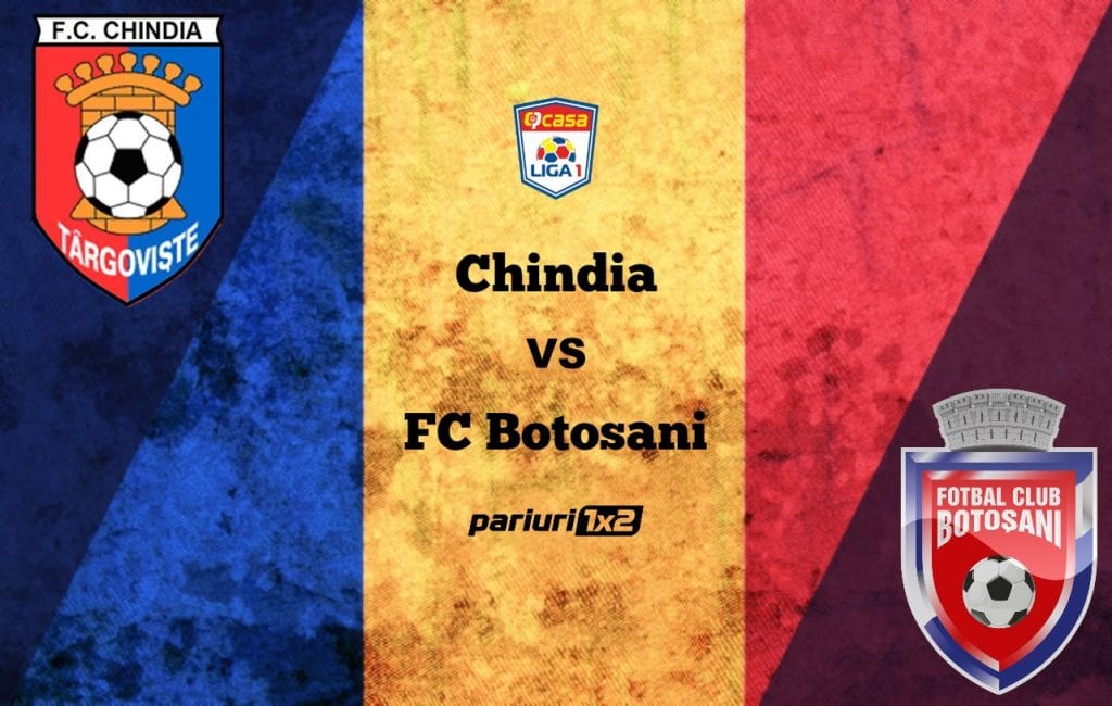 Pariuri fotbal: Chindia – FC Botoșani » Moldovenii vin cu gânduri de revanșă și vor rocada în clasament cu dâmbovițenii!