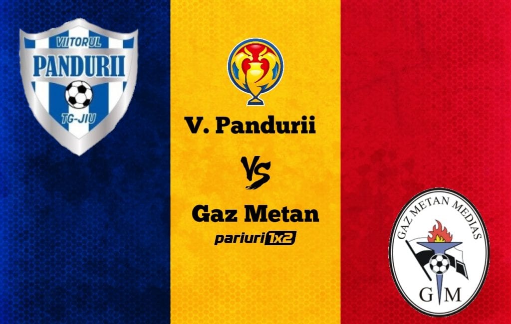 Pariuri fotbal: Viitorul Pandurii – Gaz Metan » Ardelenii luptă la Tg. Jiu pentru un loc în sferturile de finală ale Cupei României!