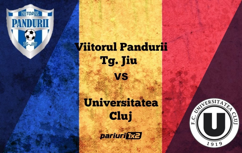 Pariuri fotbal: Viitorul Pandurii Tg. Jiu – „U” Cluj » Duel echilibrat la reluarea Ligii a 2-a!