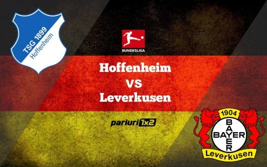 hoffenheim-leverkusen