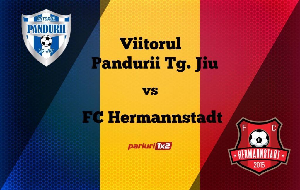 Pariuri fotbal: Viitorul Pandurii – FC Hermannstadt » Sibienii atacă fotoliul de lider la Tg. Jiu!
