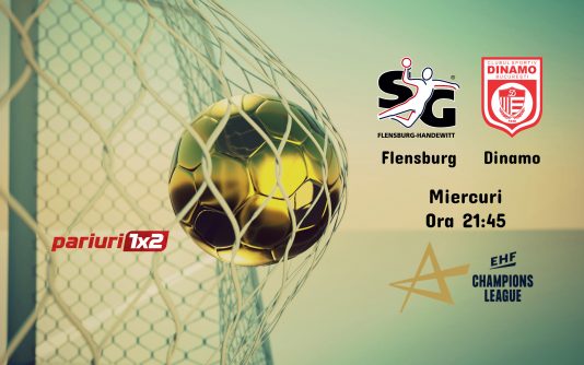 Flensburg - Dinamo