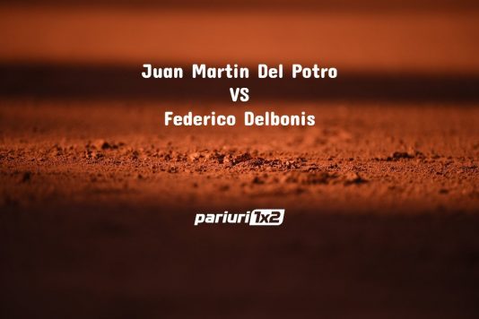 Del Potro - Delbonis