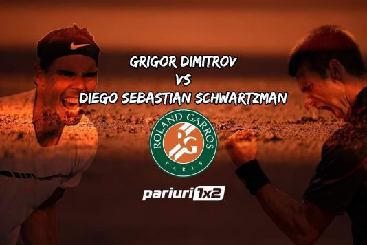 Dimitrov - Schwartzman