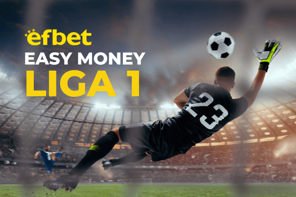 Pariuri fotbal: Bilet Easy-Money SuperLiga »»
