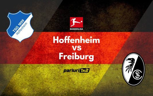 hoffenheim - freiburg