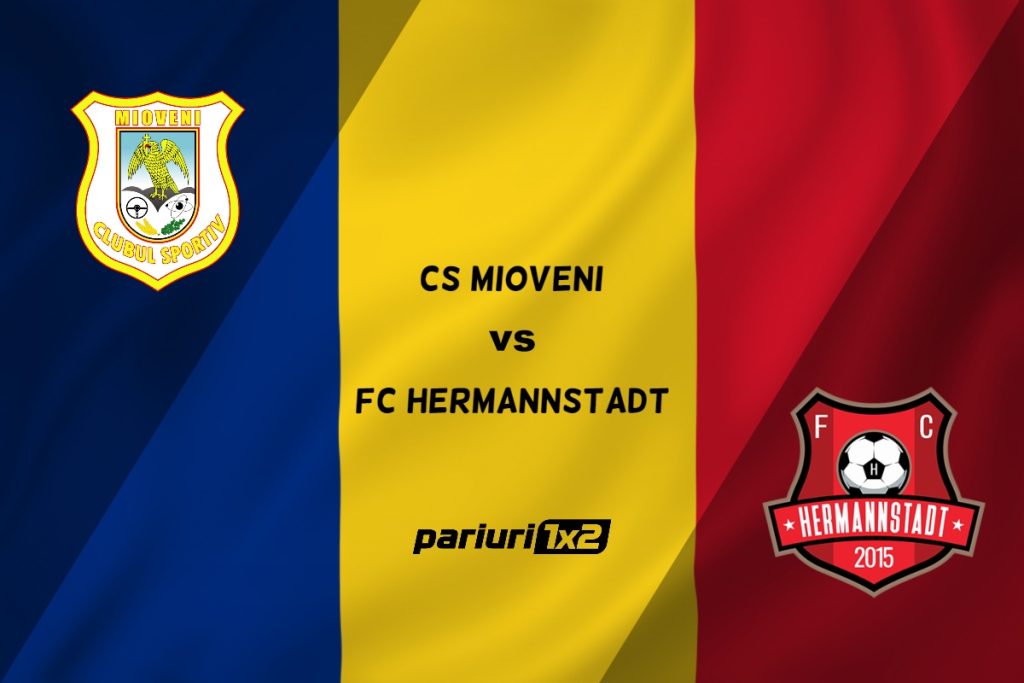Paruri fotbal: CS Mioveni – FC Hermannstadt » Meci de totul sau nimic pentru Flavius Stoican »»