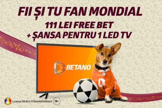 provocarea mondialului