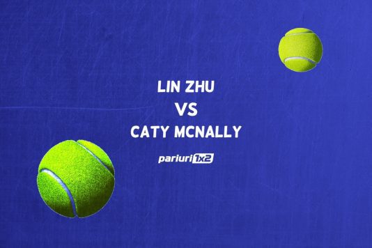 Zhu - McNally