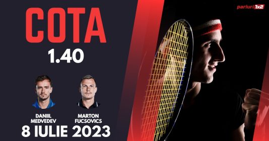 Medvedev - Fucsovics