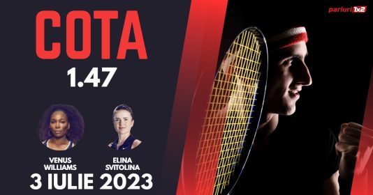 Williams - Svitolina