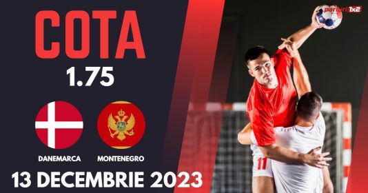 Danemarca - Muntenegru