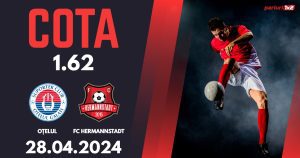 Oțelul – FC Hermannstadt, Ponturi Pariuri Fotbal Play-out SuperLiga, 28.04.2024