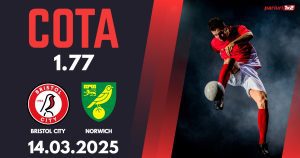 Bristol City - Norwich