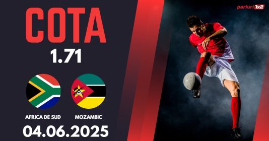 Africa de Sud - Mozambic