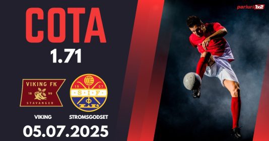 Viking - Stromsgodset