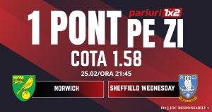 Un Pont pe Zi, 25 februarie: Ieri a fost zi de profit! Astăzi Norwich- Sheffield Wednesday