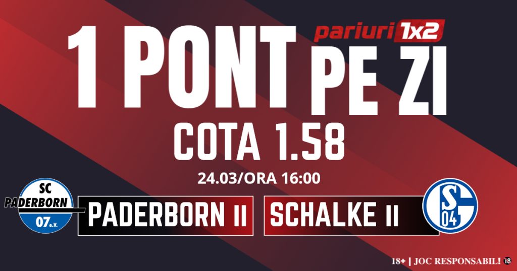 Un Pont pe Zi, 24 martie: Ieri a fost zi de profit! Astăzi Paderborn II – Schalke II