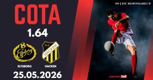 Elfsborg - Hacken