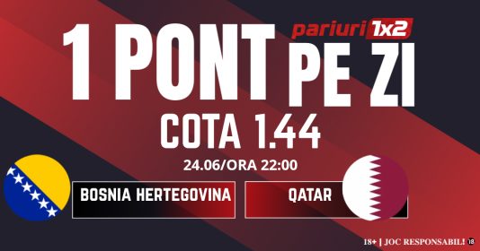 Un PONT pe zi