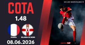 Franta - Irlanda de Nord