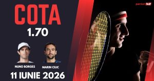Borges - Cilic