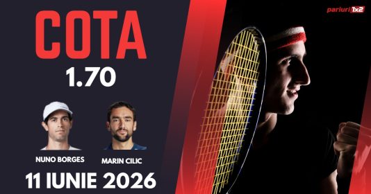 Borges - Cilic