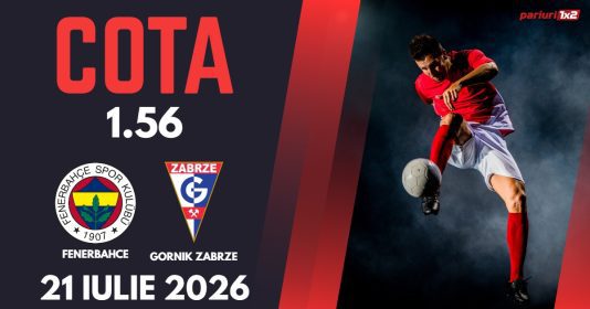 Fenerbahce - Gornik Zabrze