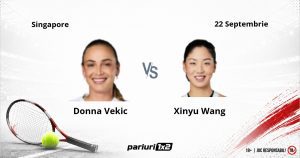Vekic - Wang